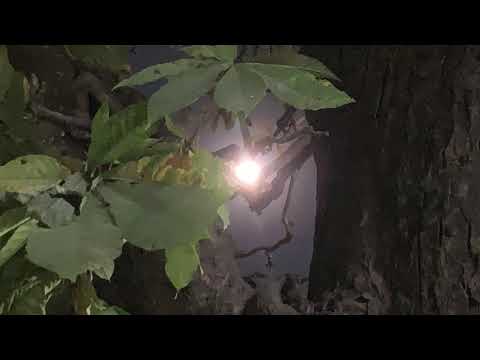 Shimla the Queen of Hills - MOONLIT MAGIC OCT2020