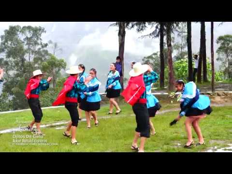 AGRUPACION ARMEELYA Ojitos de Cielo (VIDEO OFICIAL) 2018 🎥 4k✔️