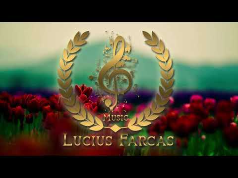 NEGATIV - VENITI CU DRAG LA CORTUL INTALNIRII