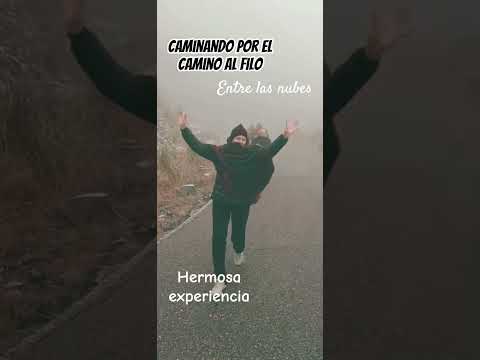 Nieve en Merlo