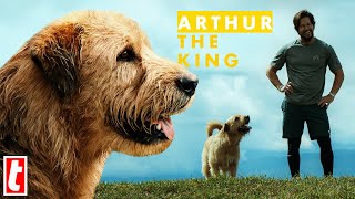 Arthur The King | What We Know So Far