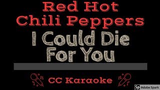 Red Hot Chili Peppers • I Could Die For You (CC) [Karaoke Instrumental Lyrics]