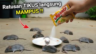 Download lagu KENAPA TIDAK DARI DULU‼️Tikus langsung MAMPUS dalam SEKEJAP mp3