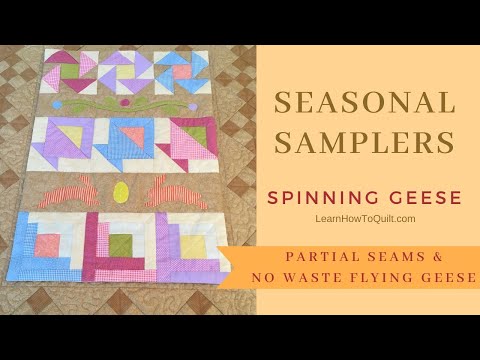 Partial Seams & No Waste Flying Geese - Seasonal Samplers Series