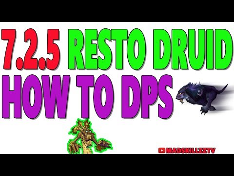 7.2.5 RESTO DRUID: How to DPS (Talents | Rotation | Stat Priority)