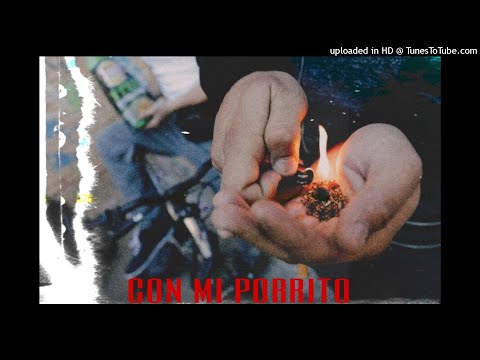 OGCALE X NINU040 - CON MI PORRITO