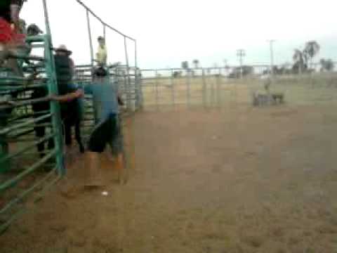 diego crystal vs cafu