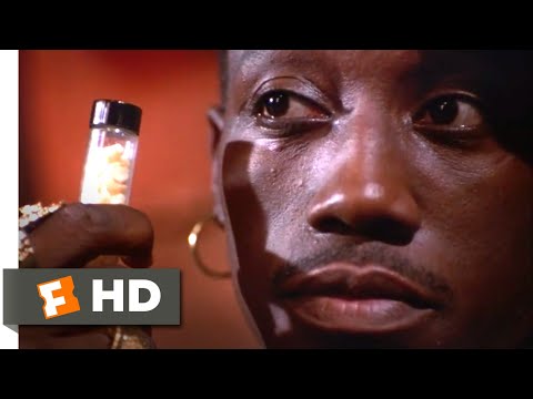 download lagu mp3 mp4 Brown Carter, download lagu Brown Carter gratis, unduh video klip Brown Carter