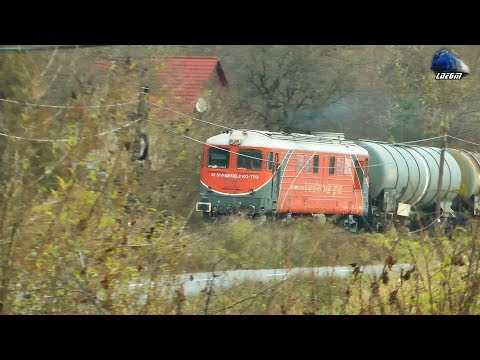 Trenurile Toamnei/Autumn Trains in Defileul Crisului Repede Canyon pe Apus/on Sunset19 November 2017