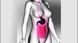 So Much Light - "Sit With It"