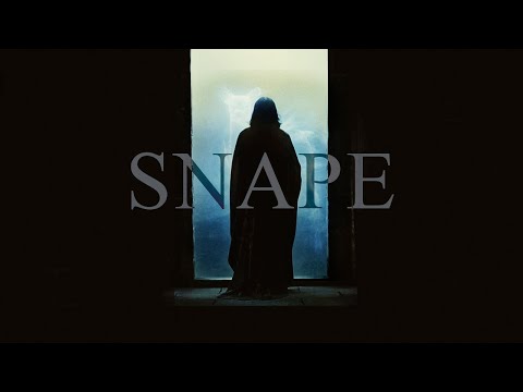 The Tragedy of Severus Snape
