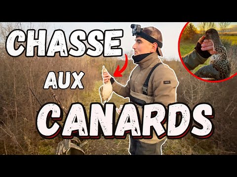 CHASSE du CANARD en hiver !! (vols de migrations)
