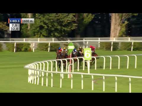 11.10.2020 (D39; G5; Tor: 3,4; 10°C) Nagroda Mosznej - L (kat.A)