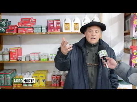 AGRONORTE Tv -  ARTIGAS TELEVISIÓN - AGRONORTE INSUMOS