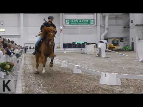 Helsinki Horse Fair 16.3.2019