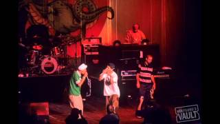 Beastie Boys LIVE - Get it Together [Milwaukee, WI 1995-05-22]
