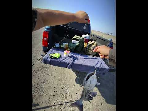 Un buen bagre para el caldo 👍🏽🔥