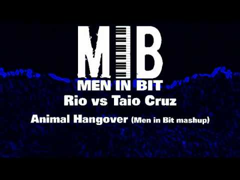 Rio vs Taio Cruz - Animal Hangover (Men in Bit mashup)