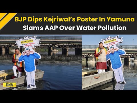 Delhi Election 2025: BJP's Parvesh Verma Dips Arvind Kejriwal's Cutout In Yamuna Amid Pollution Row