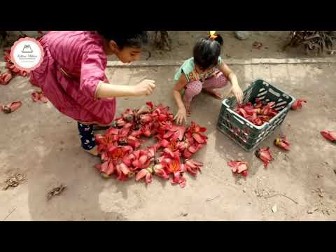 Sumbal Flowers #KittooMittoo