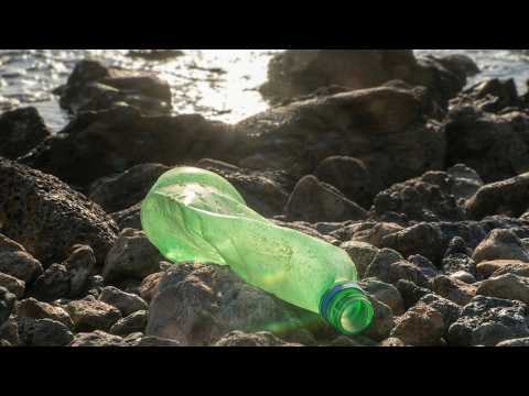 Best Documentary and Show Me the World