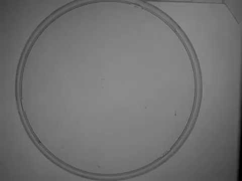 Trpm7 mutant fish are hypomotile