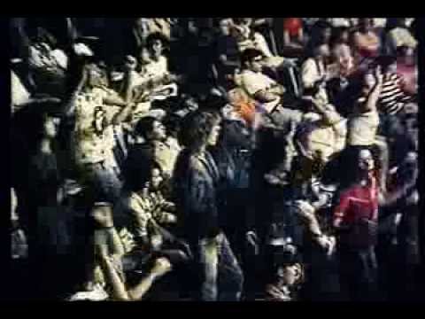 Minha Vida é o Rock'N'Roll video