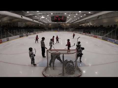 Georgina vs Northumberland