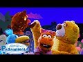 High Five For Adventure Pajanimals