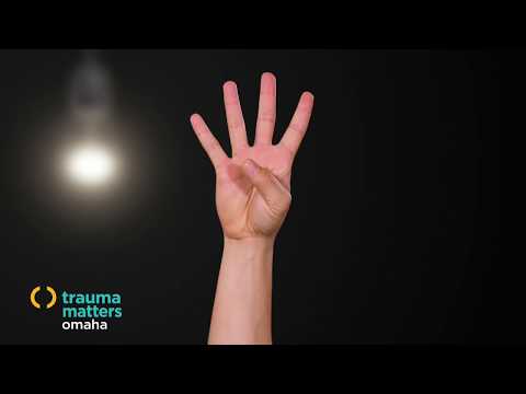 Trauma Matters Omaha | Hand Model of the Brain
