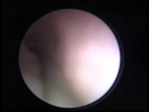 Paolo Piana-4