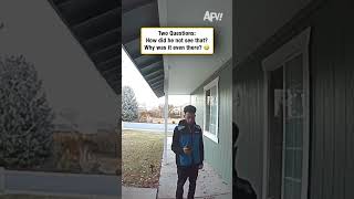 Two Questions: How did he not see that? Why was it even there? 🤣