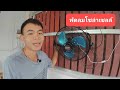 พัดลมโซล่าเซลล์ใช้งานสุดคุ้ม | บ้านหลังน้อย พลังงานทดแทน