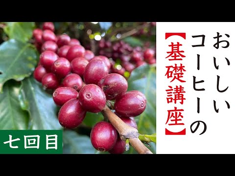 ジュリアス・バウシンガーについて詳しく解説