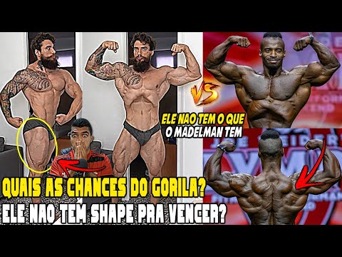 THE BIGGEST CHALLENGE FOR THE GORILLA🤯🚀 - SHAPE HAS EVOLVED A LOT AND HE CAN STAY IN THE TOP6 OF ...