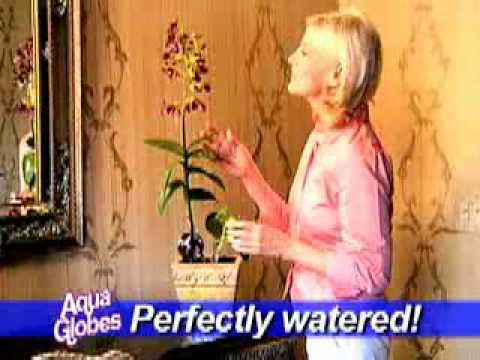 Aqua Globes  - www.SeenTVCanada.com