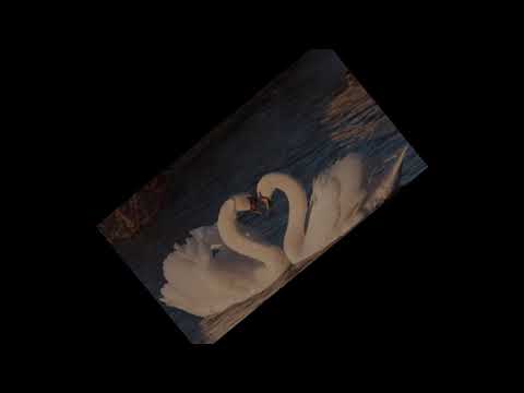 Mi Honey (Tus Kuv Hlub) Karaoke By: Ariya