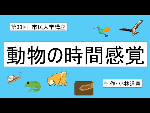 地域科学課程 動物の時間感覚