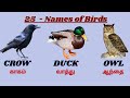 Birds Name In English Tamil Birds Vocabulary