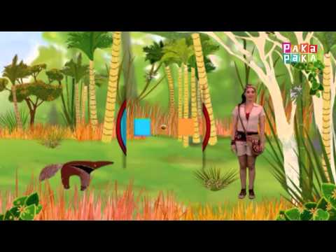Animapaka I: Oso Hormiguero (Cap. 25) - Canal Pakapaka