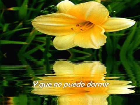 Si ves a mi amado video