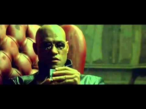 YTP Matrix: Le Tasse si Pagano in Chiesa!