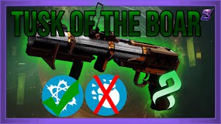 TUSK OF THE BOAR WEAPON REVIEW & GOD ROLL | DESTINY 2