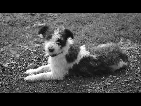 Because The Night - Sait Mark