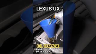 Lexus UX Oil Change!