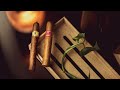 SMOKING TWO SUPER POPULAR CUBAN CIGARS | YOU WILL LOVE THEM!