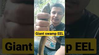 Download lagu REZEKI NOMPLOK !! Nemu BABON di pinggir empang,, #shorts #ngurekbelut #babon #youtubeshorts mp3 Download lagu REZEKI NOMPLOK !! Nemu BABON di pinggir empang,, #shorts #ngurekbelut #babon #youtubeshorts mp3