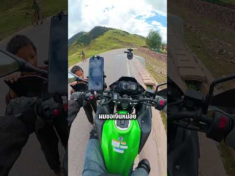 ขับรถอยู่ดีๆ ก็โดนเจ้าถิ่นขวางทางซะงั้น! #shorts #viralvideo #viral #short