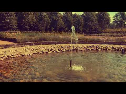 BJURMAN - Music Diary 2018-06-21