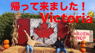 【帰郷⁉︎】久々に🇨🇦ビクトリアに帰って来た!ワーホリ以来のVictoriaで、果たして一緒に働いていた人達は、まだ覚えているのか…!?ハンバーガーやハロウィン用のかぼちゃ畑で、早速カナダ感満載!🎃